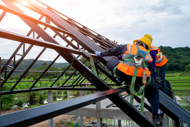 Best Roof Repair Services  in Centreville, MI