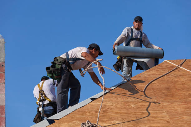 Best Storm Damage Roof Repair  in Centreville, MI