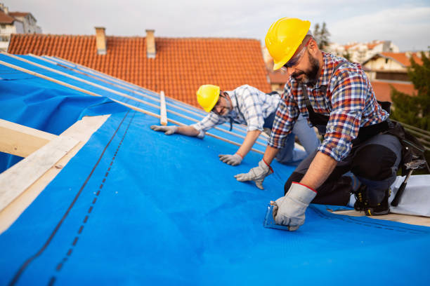Best Roof Waterproofing Services  in Centreville, MI